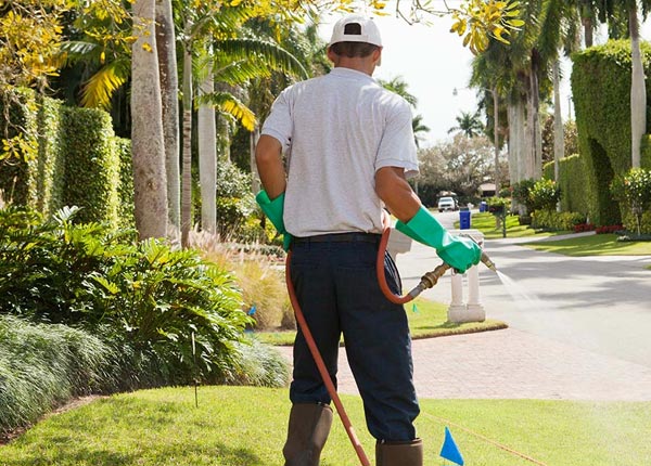 About East Canaan CT Pest Control